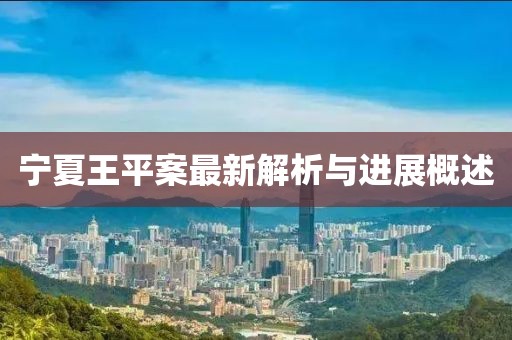 寧夏王平案最新解析與進展概述