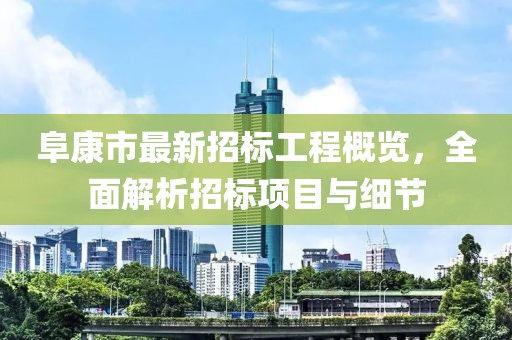 阜康市最新招標工程概覽，全面解析招標項目與細節(jié)