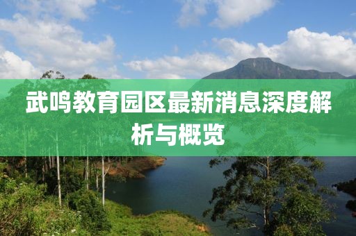 武鳴教育園區(qū)最新消息深度解析與概覽