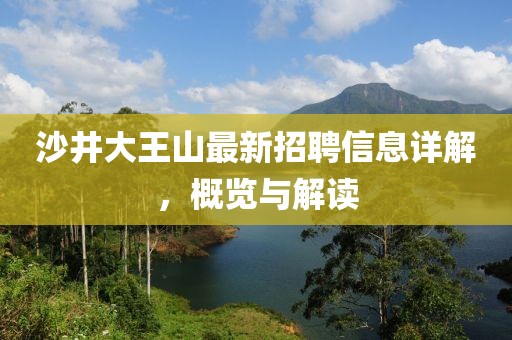 沙井大王山最新招聘信息詳解，概覽與解讀