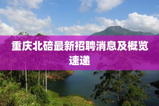 重慶北碚最新招聘消息及概覽速遞