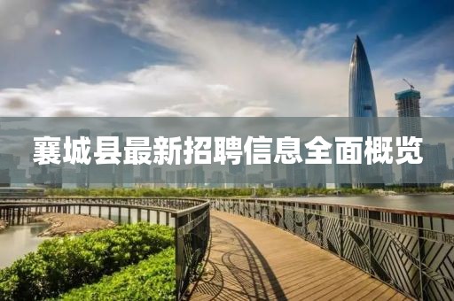 一種夢想 第33頁