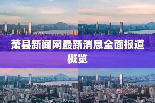 蕭縣新聞網(wǎng)最新消息全面報道概覽