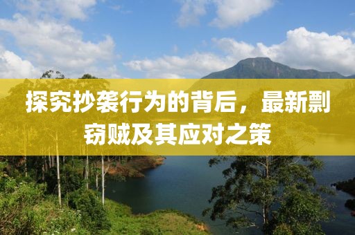 探究抄襲行為的背后，最新剽竊賊及其應(yīng)對(duì)之策