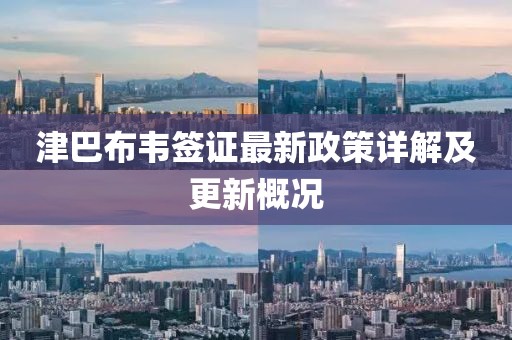 津巴布韋簽證最新政策詳解及更新概況