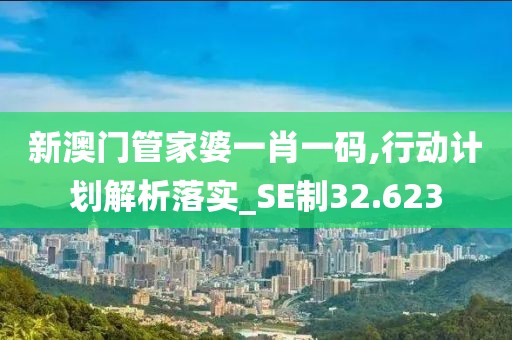 新澳門管家婆一肖一碼,行動計(jì)劃解析落實(shí)_SE制32.623