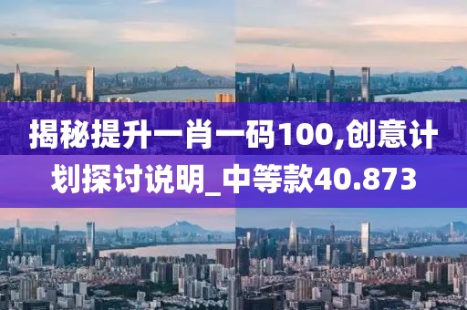 揭秘提升一肖一碼100,創(chuàng)意計(jì)劃探討說(shuō)明_中等款40.873
