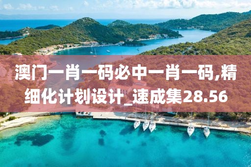 澳門一肖一碼必中一肖一碼,精細(xì)化計劃設(shè)計_速成集28.56