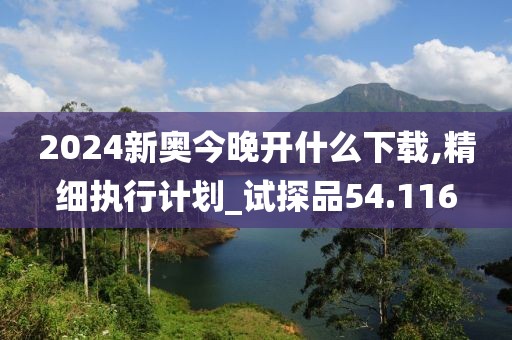 2024新奧今晚開什么下載,精細執(zhí)行計劃_試探品54.116