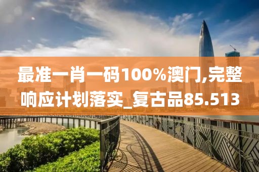 最準(zhǔn)一肖一碼100%澳門,完整響應(yīng)計(jì)劃落實(shí)_復(fù)古品85.513
