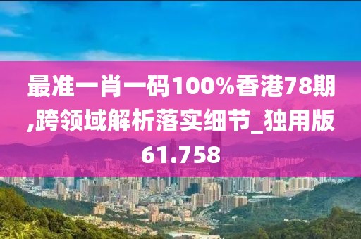 最準(zhǔn)一肖一碼100%香港78期,跨領(lǐng)域解析落實(shí)細(xì)節(jié)_獨(dú)用版61.758