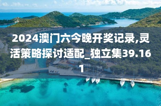 2024澳門六今晚開獎記錄,靈活策略探討適配_獨立集39.161