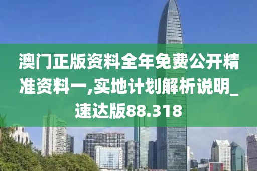 澳門正版資料全年免費公開精準資料一,實地計劃解析說明_速達版88.318