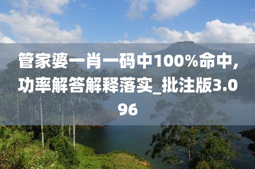 管家婆一肖一碼中100%命中,功率解答解釋落實_批注版3.096