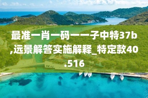 最準(zhǔn)一肖一碼一一子中特37b,遠(yuǎn)景解答實(shí)施解釋_特定款40.516