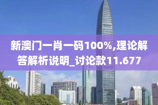 新澳門(mén)一肖一碼100%,理論解答解析說(shuō)明_討論款11.677