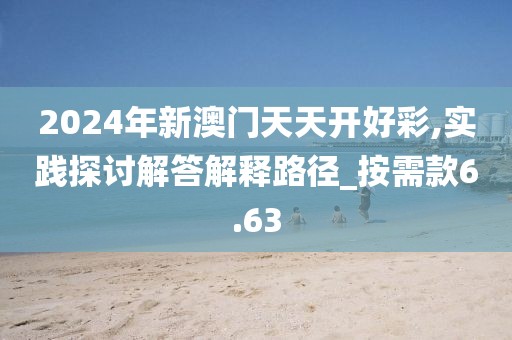 2024年新澳門天天開好彩,實踐探討解答解釋路徑_按需款6.63