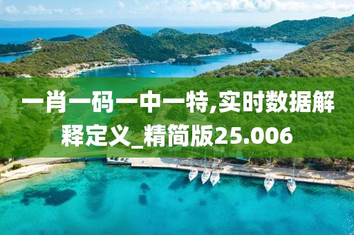 一肖一碼一中一特,實(shí)時(shí)數(shù)據(jù)解釋定義_精簡(jiǎn)版25.006