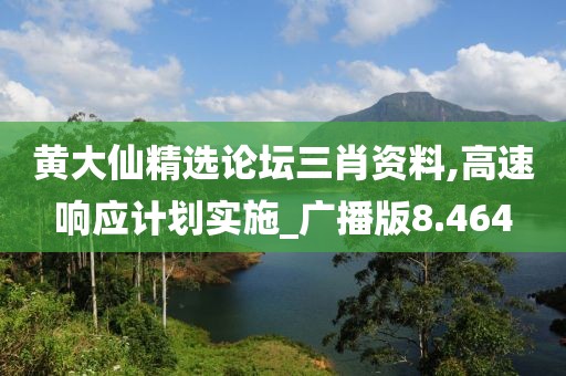 黃大仙精選論壇三肖資料,高速響應(yīng)計(jì)劃實(shí)施_廣播版8.464