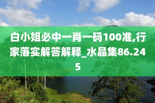 一種夢想 第29頁