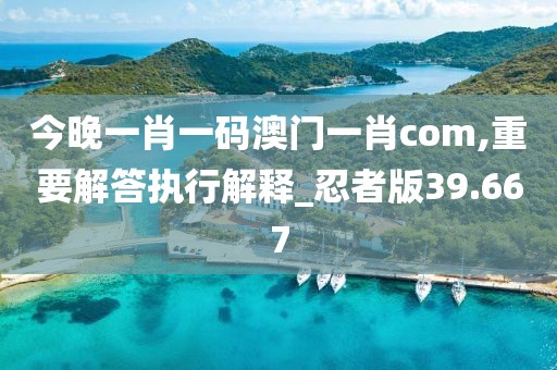 今晚一肖一碼澳門(mén)一肖com,重要解答執(zhí)行解釋_忍者版39.667