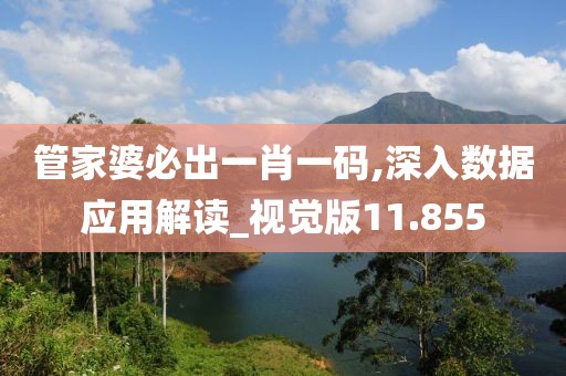 管家婆必出一肖一碼,深入數(shù)據(jù)應(yīng)用解讀_視覺版11.855