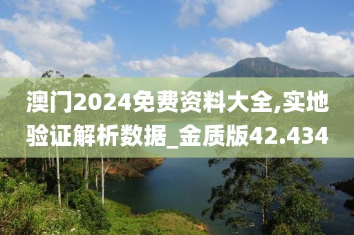 澳門2024免費資料大全,實地驗證解析數(shù)據(jù)_金質(zhì)版42.434