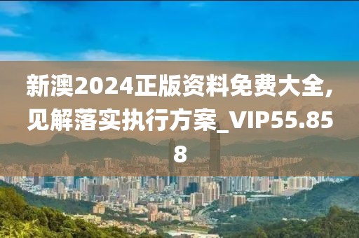 新澳2024正版資料免費(fèi)大全,見解落實(shí)執(zhí)行方案_VIP55.858