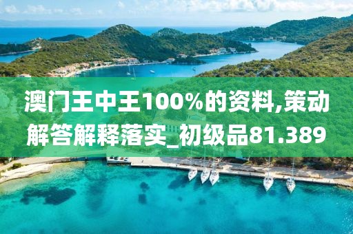 澳門王中王100%的資料,策動解答解釋落實_初級品81.389