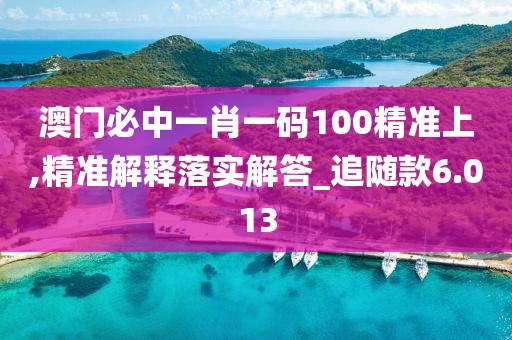 澳門必中一肖一碼100精準(zhǔn)上,精準(zhǔn)解釋落實(shí)解答_追隨款6.013