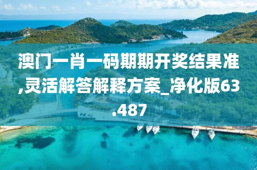 澳門一肖一碼期期開獎結(jié)果準(zhǔn),靈活解答解釋方案_凈化版63.487