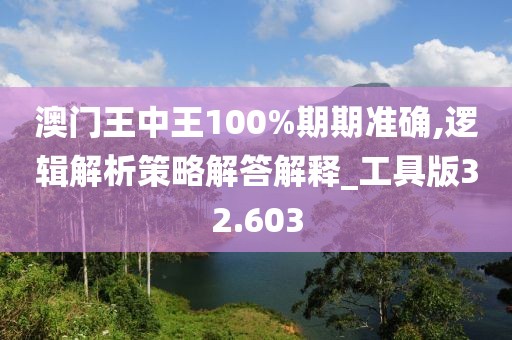 澳門王中王100%期期準(zhǔn)確,邏輯解析策略解答解釋_工具版32.603