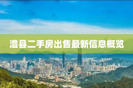 澧縣二手房出售最新信息概覽