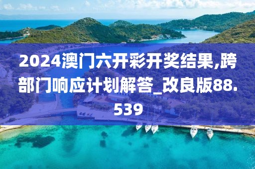 2024澳門六開彩開獎結(jié)果,跨部門響應(yīng)計(jì)劃解答_改良版88.539