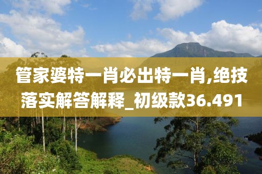 管家婆特一肖必出特一肖,絕技落實解答解釋_初級款36.491