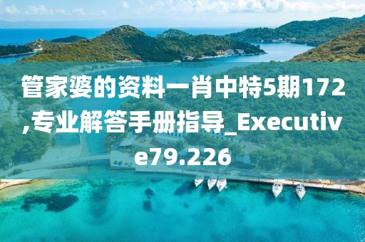 管家婆的資料一肖中特5期172,專業(yè)解答手冊指導(dǎo)_Executive79.226