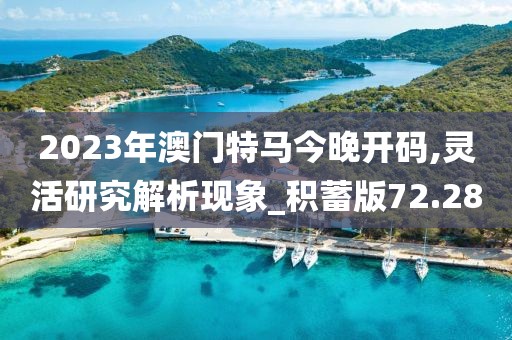 2023年澳門特馬今晚開碼,靈活研究解析現(xiàn)象_積蓄版72.28