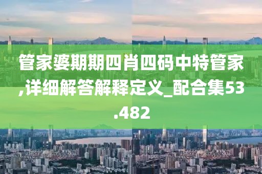 管家婆期期四肖四碼中特管家,詳細(xì)解答解釋定義_配合集53.482