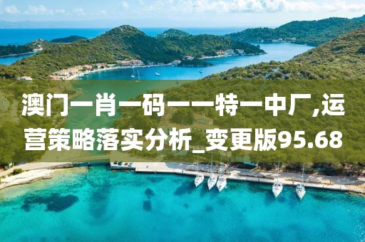 澳門一肖一碼一一特一中廠,運營策略落實分析_變更版95.68