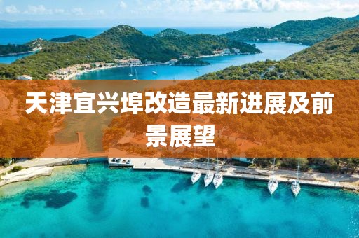 天津宜興埠改造最新進展及前景展望