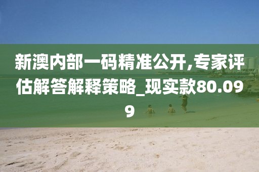 新澳內(nèi)部一碼精準(zhǔn)公開,專家評(píng)估解答解釋策略_現(xiàn)實(shí)款80.099