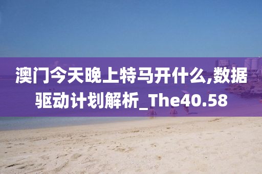 澳門(mén)今天晚上特馬開(kāi)什么,數(shù)據(jù)驅(qū)動(dòng)計(jì)劃解析_The40.58