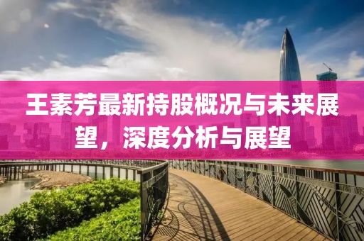 王素芳最新持股概況與未來展望，深度分析與展望