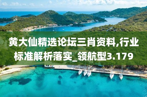 黃大仙精選論壇三肖資料,行業(yè)標準解析落實_領航型3.179