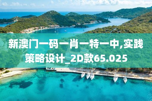 新澳門一碼一肖一特一中,實踐策略設(shè)計_2D款65.025