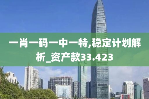 一肖一碼一中一特,穩(wěn)定計劃解析_資產(chǎn)款33.423
