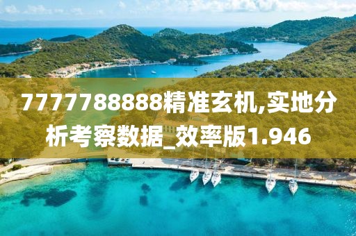 7777788888精準玄機,實地分析考察數(shù)據(jù)_效率版1.946