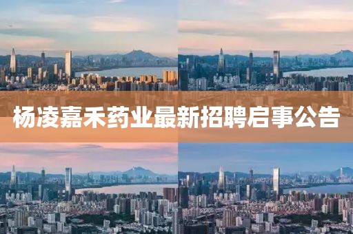 澳門天天 第60頁