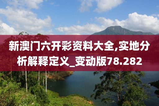 新澳門(mén)六開(kāi)彩資料大全,實(shí)地分析解釋定義_變動(dòng)版78.282