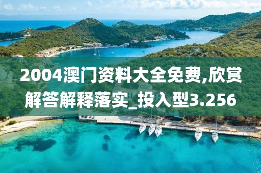 2004澳門資料大全免費,欣賞解答解釋落實_投入型3.256